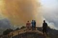 الجزائر.. مصرع شخص وإصابة آخر إثر حرائق غابات بولاية سطيف