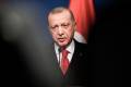 أردوغان يستبعد إقدام روسيا على غزو أوكرانيا