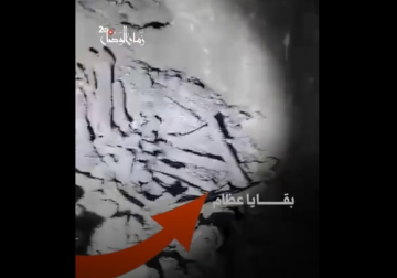 مستثمرو قصور حمص