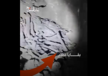 مديرية الآثار: عظام تعود للعصر البيزنطي تُركت فوق الأرض بقصر الزهراوي وسط عمل ورشات الباطون