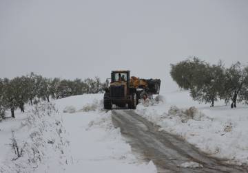 الدفاع المدني ينفّذ أكثر من 100 استجابة خلال المنخفض الجوي
