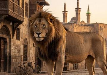 ضَرَاغِمُ مكافحة الكسب غير المشروع... تشكركم دمشق