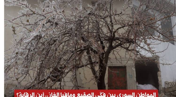 الشركة السورية للبترول تنشغل بـ