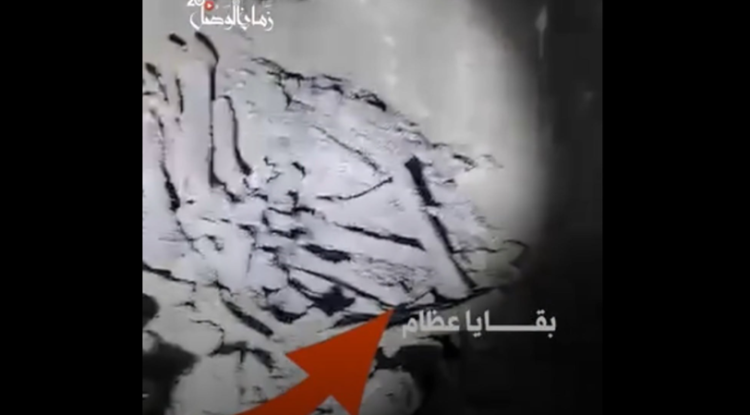 مستثمرو قصور حمص