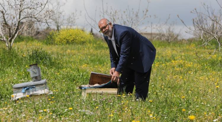 بتربية النحل.. حياة جديدة لعائلة سورية عائدة من تركيا