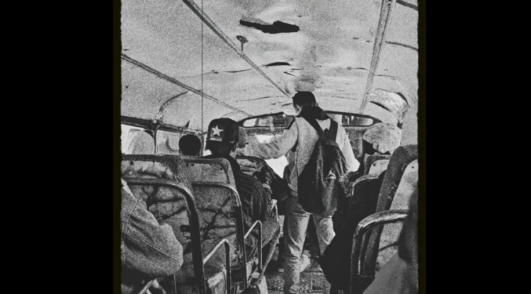 حمارٌ مثقف