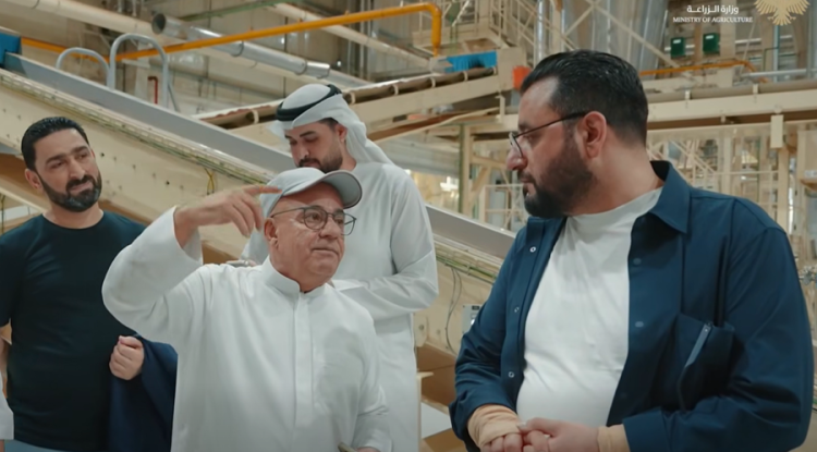 من الإمارات إلى سوريا.. هل آن الأوان لتحديث صناعة التبغ السورية؟
