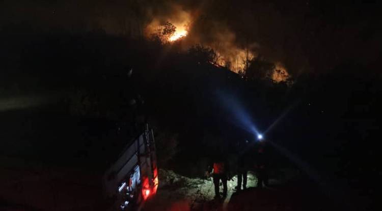 إخماد حريق حراجي ضخم في ريف اللاذقية