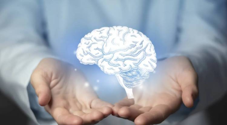 باحثون: إبطال ضرر ألزهايمر على الدماغ ربما يكون ممكنا